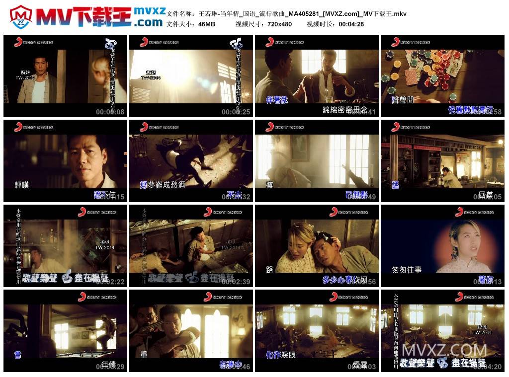 王若琳-当年情_国语_流行歌曲_MA405281